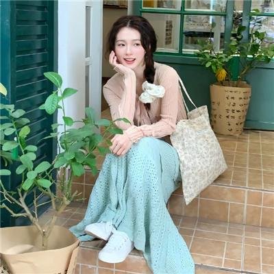 少年讼师纪晓岚